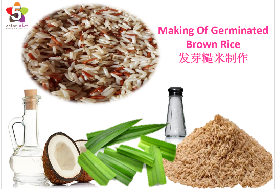 Making Of Germinated Brown Rice