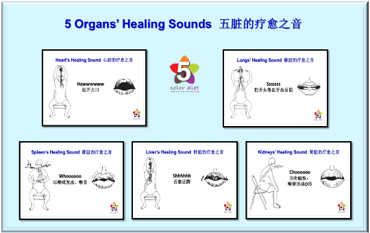 5 Organs’ Healing Sounds