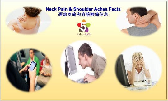 Neck Pain & Shoulder Aches Facts