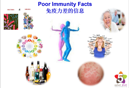 Poor Immunity Facts