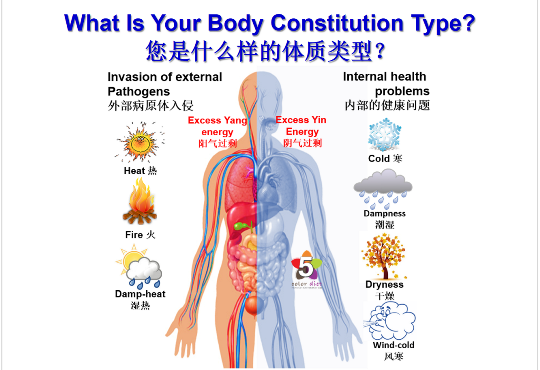 Body Constitution Types And Right Food Diet Facts