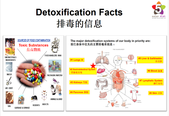 Detoxification Facts