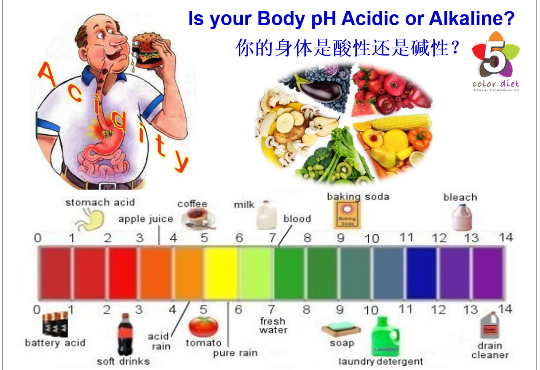 Body pH Facts