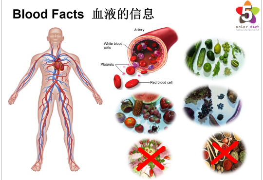 Blood Facts